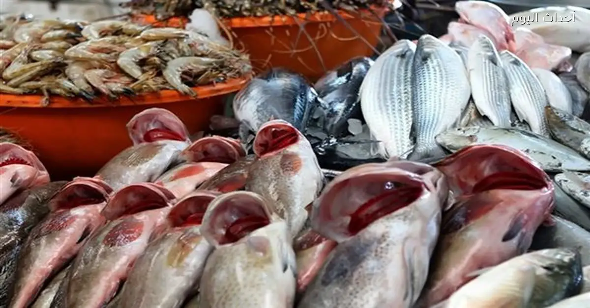 أسعار الأسماك والمأكولات البحرية في مصر اليوم 4 مارس 2026