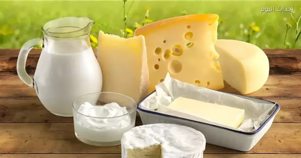 أسعار الألبان اليوم 1 مارس 2026 تراجع الزبدة وارتفاع الشيدر