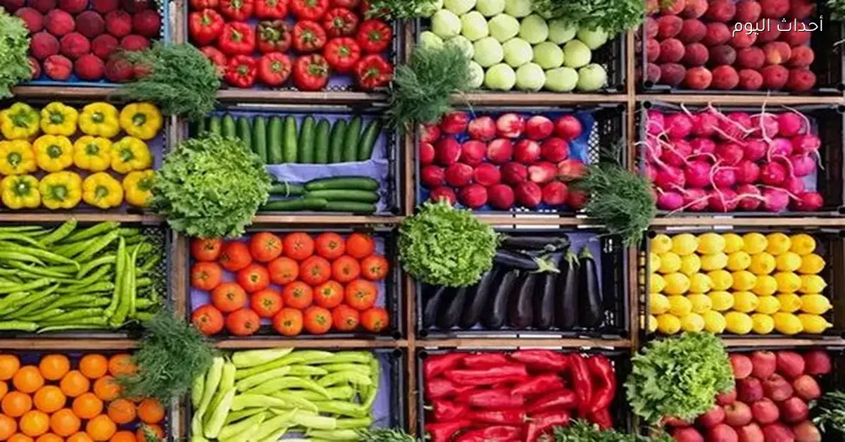 أسعار الخضروات والفاكهة اليوم الثلاثاء 24 مارس 2026