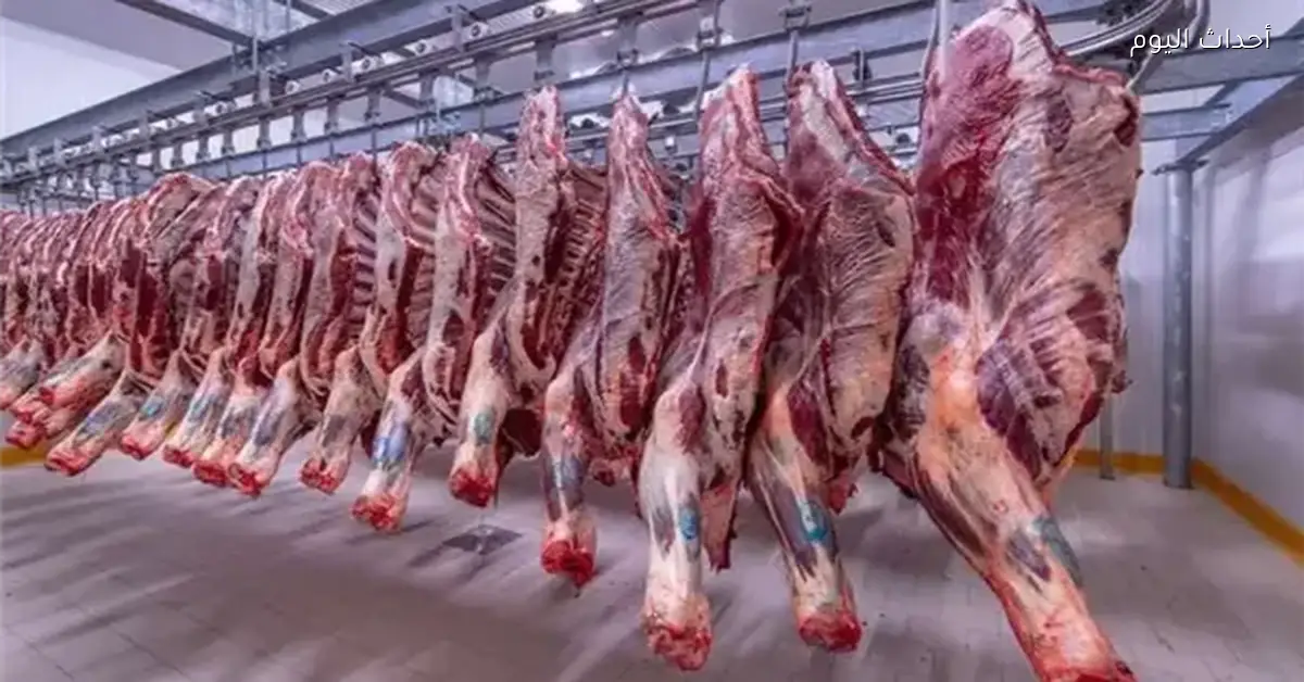 أسعار اللحوم الطازجة اليوم الأحد 1 مارس 2026 بمتوسط 413 جنيهًا للكيلو