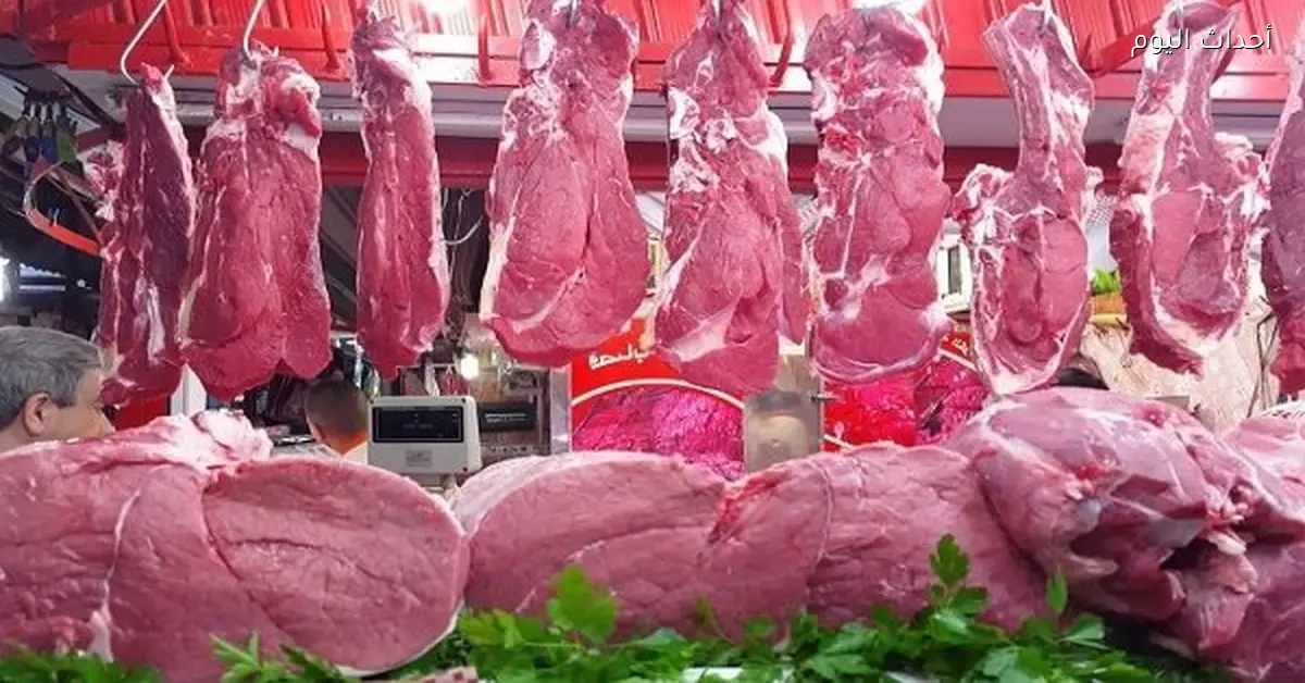 أسعار اللحوم في الأسواق المصرية الثلاثاء 17 مارس 2026