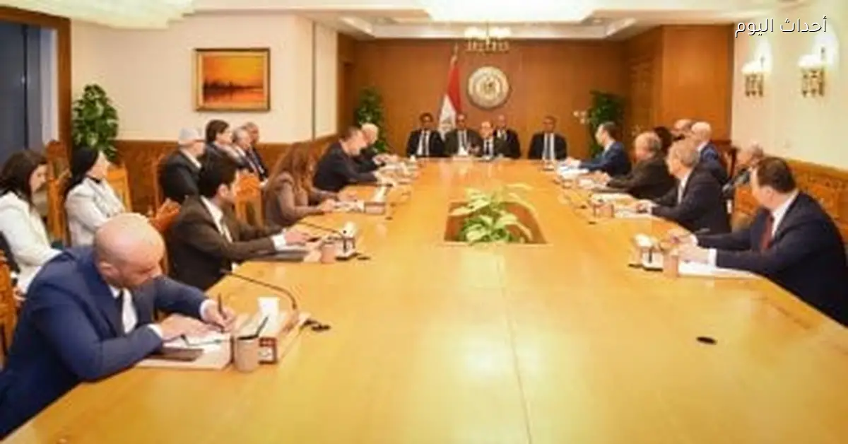 اجتماع تنسيقي بوزارة الخارجية لمتابعة قضايا المصريين بالخارج