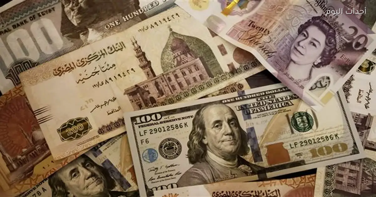احتياطي النقد الأجنبي يزيد 17.44 مليار دولار بعد تحرير سعر الصرف