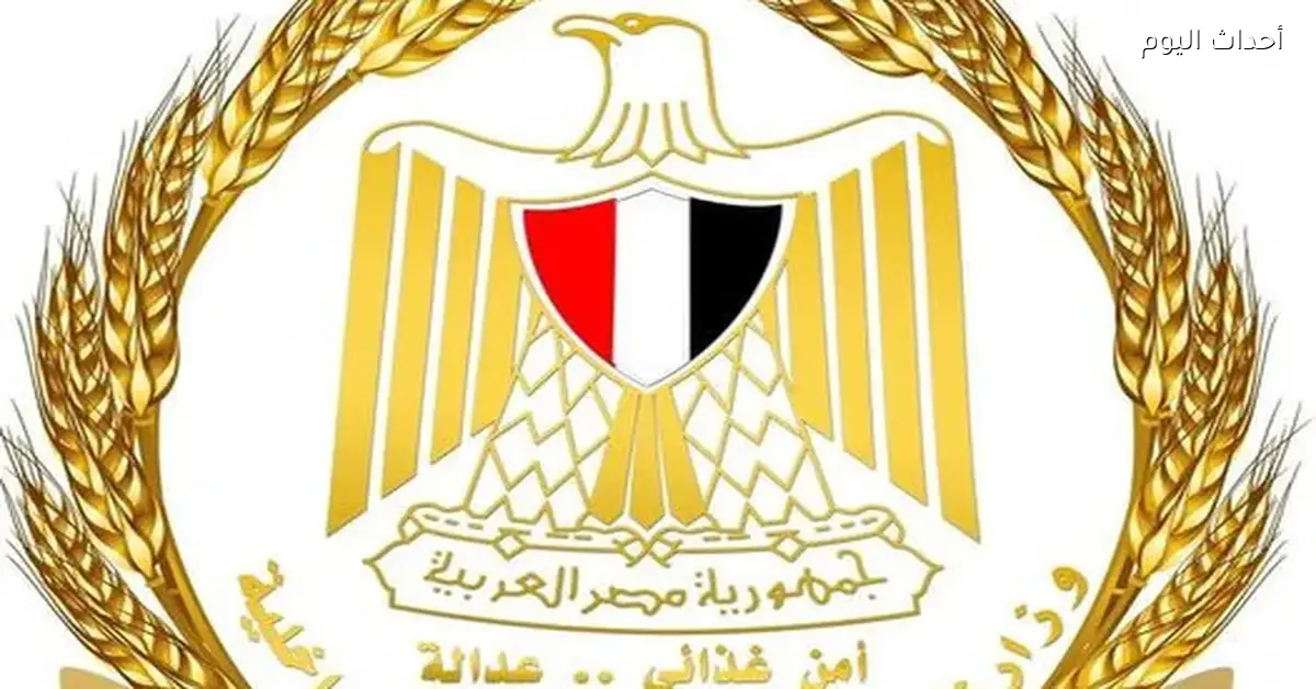 التموين تعلن عن إنشاء سجل تجاري جديد بهيئة الرقابة المالية