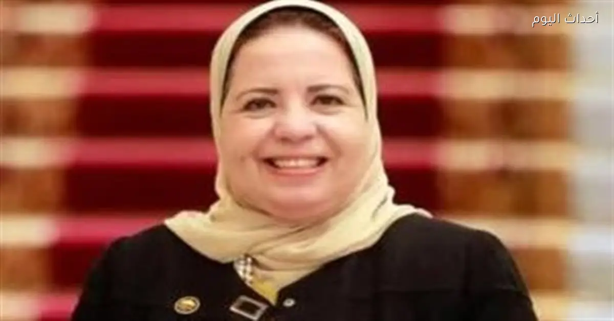 الرئيس السيسي يؤكد على أهمية الاستعداد الوطني