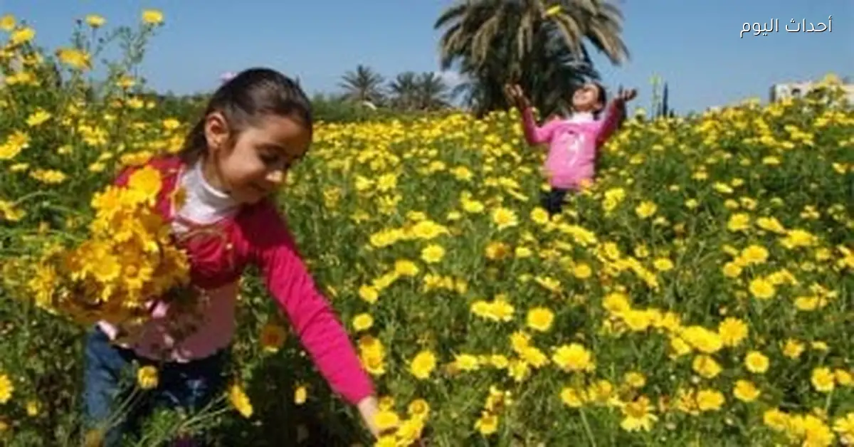 الربيع يبدأ اليوم والنهار يتساوى مع الليل