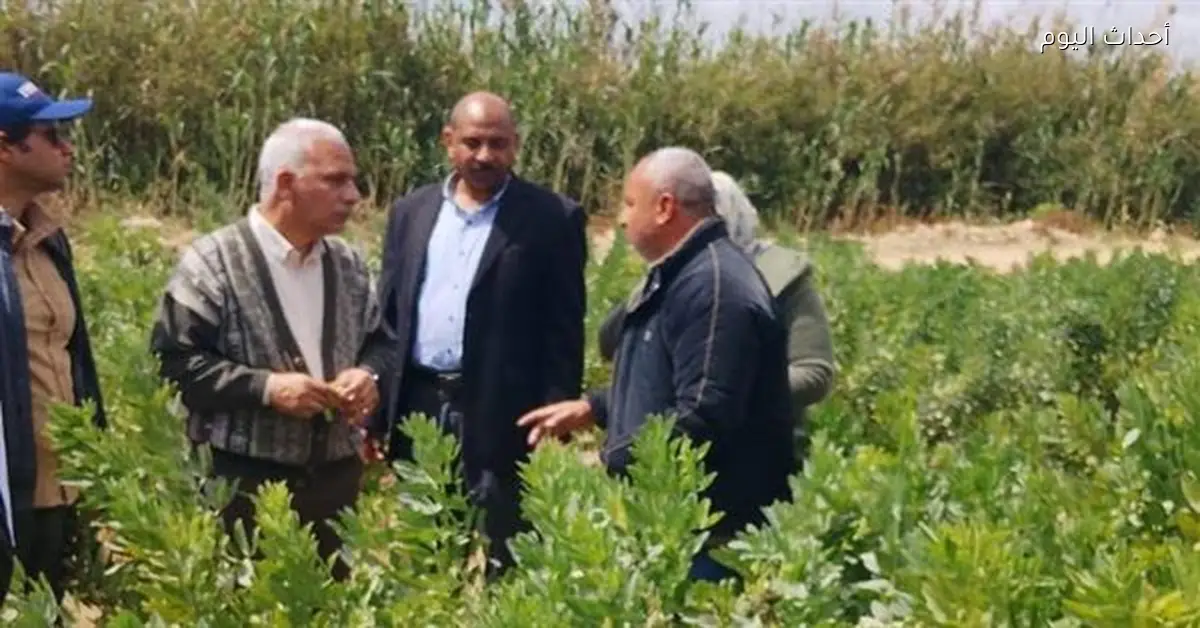 الزراعة تتابع إنتاج التقاوي والمحاصيل في النوبارية