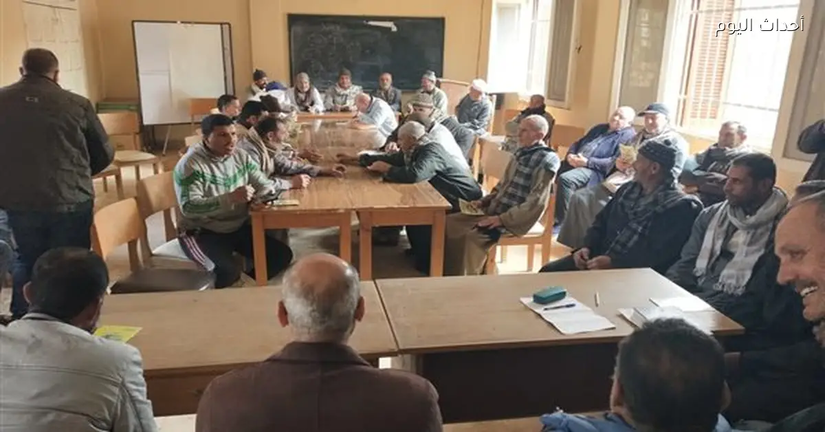 الزراعة تدعم الزراعة التعاقدية للمحاصيل الزيتية بكفر الشيخ