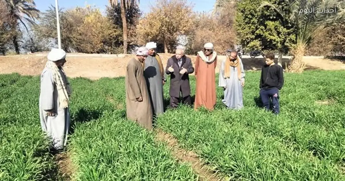 الزراعة تنفذ 300 نشاط لدعم 5000 مستفيد