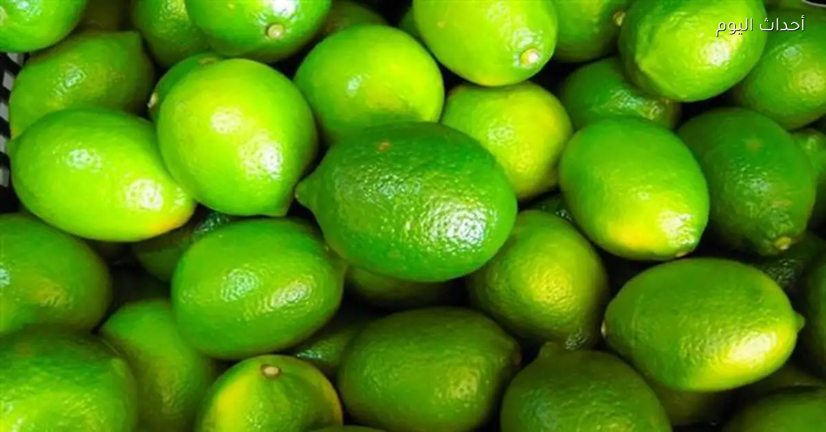 السلفادور تستقبل صادرات مصر من الليمون