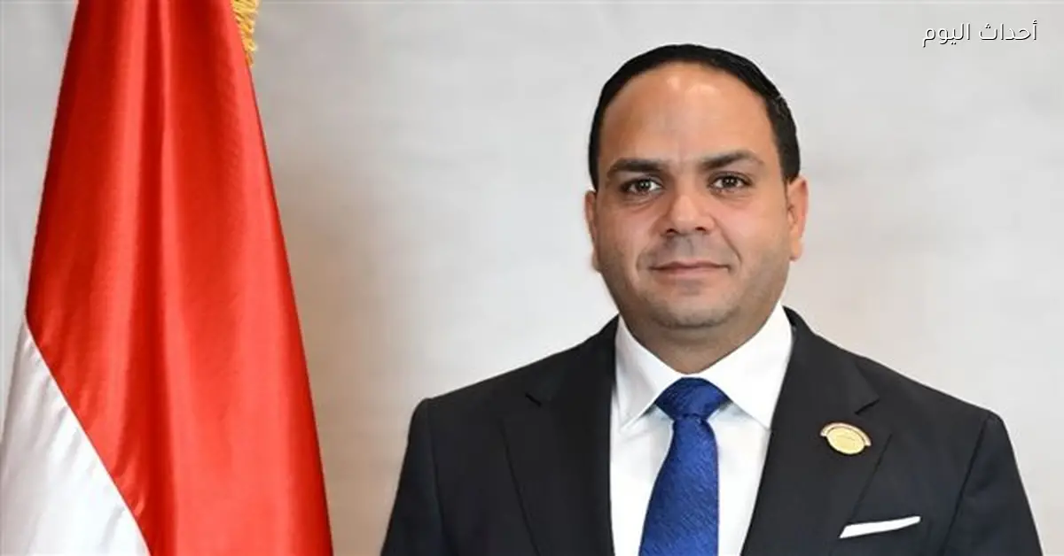 السياسة الخارجية المصرية تساهم في خفض التوترات الإقليمية