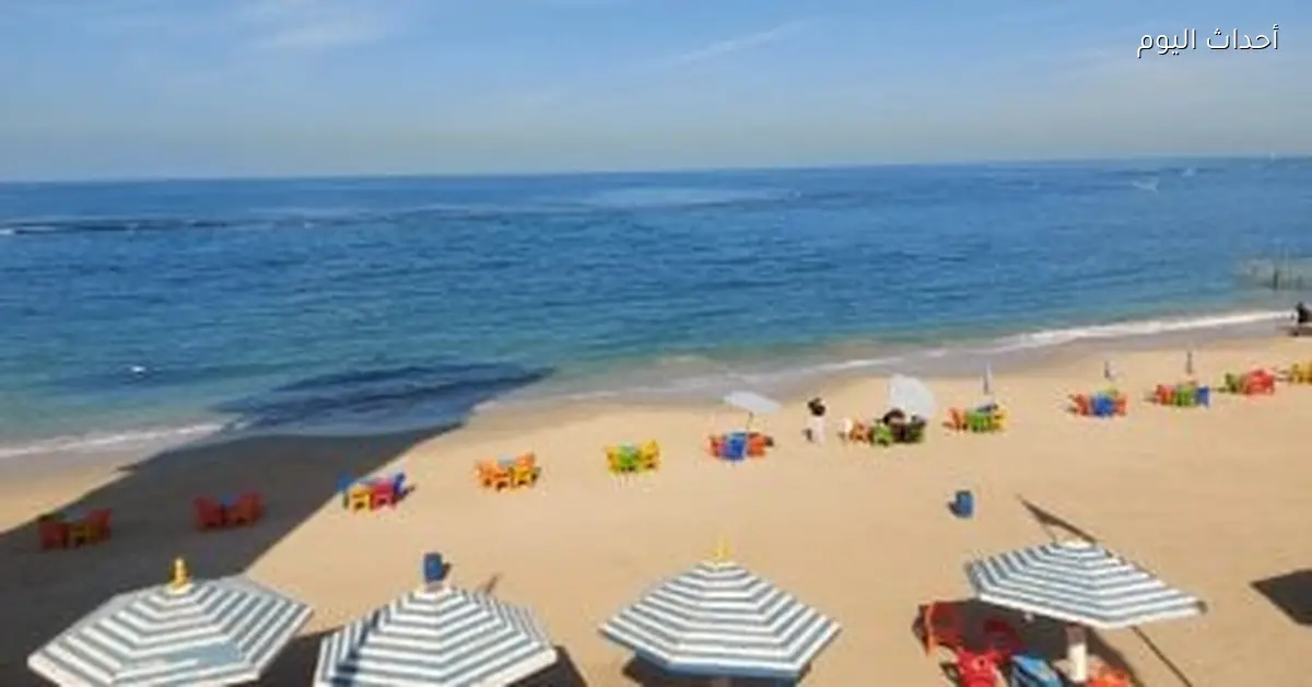 الطقس اليوم دافئ نهارا وبارد ليلا مع شبورة ورياح والصغرى في القاهرة 14 درجة