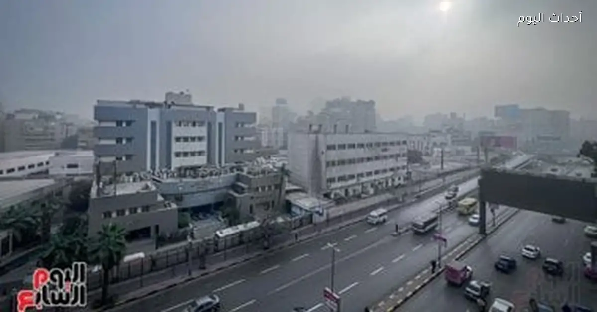 الطقس اليوم دافئ نهارا وشبورة كثيفة صباحا والصغرى في القاهرة 11 درجة