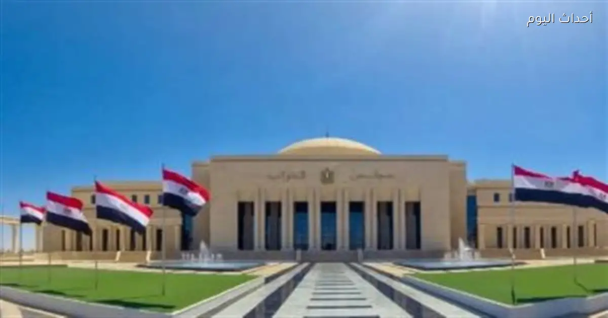 القاهرة تعزز الاستقرار العربي من خلال الحوار الدبلوماسي