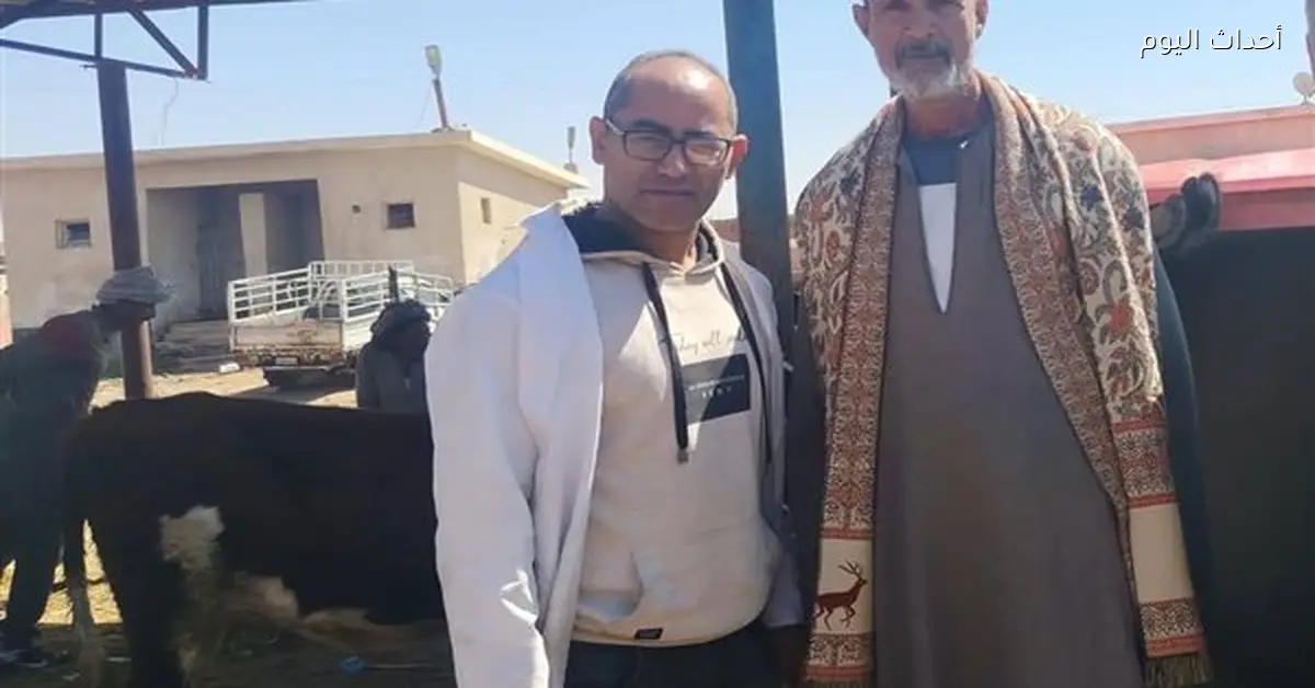 تحصين الماشية ضد الجلد العقدي في سوق الألبان بالسويس