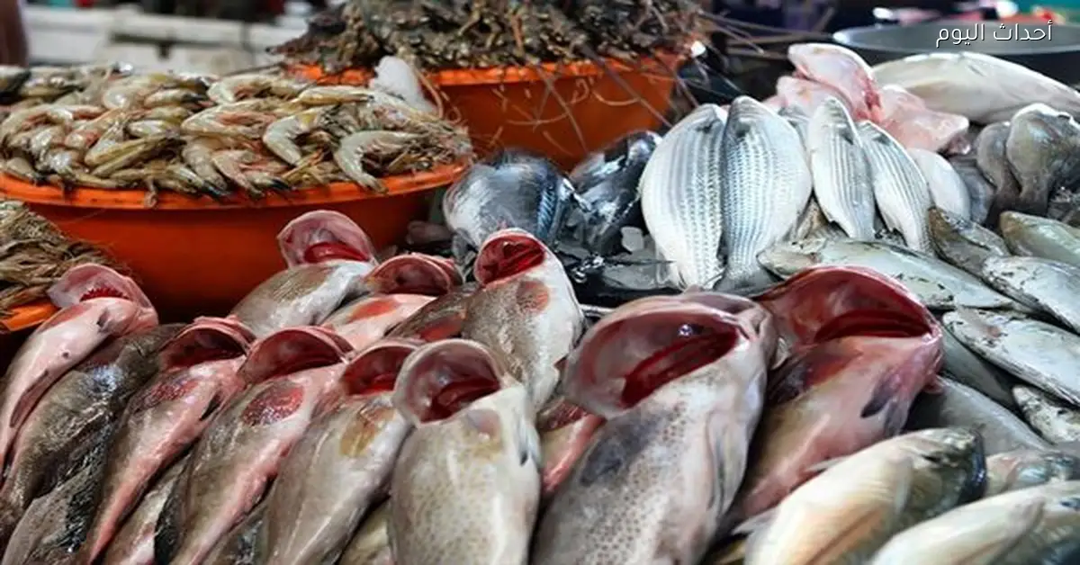 تراجع طفيف في أسعار السمك بسوق العبور اليوم