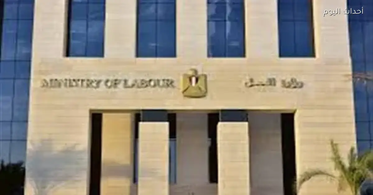 تسليم 16 عقد عمل لشباب بني سويف في الأردن