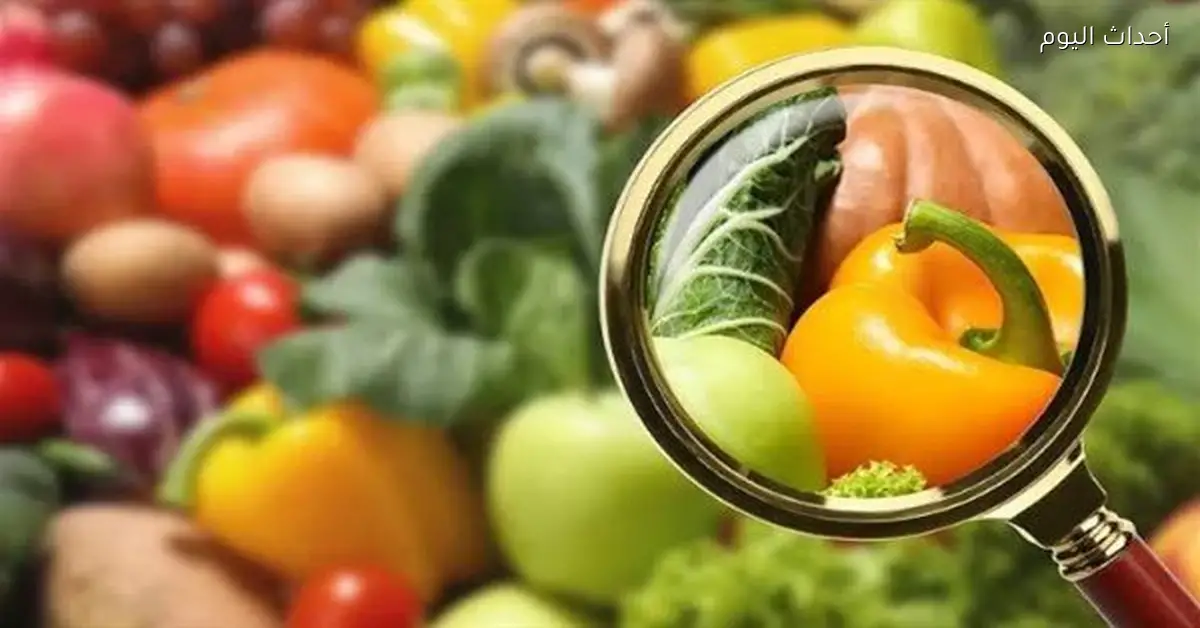 تصدير 275 ألف طن أغذية إلى 176 دولة في أسبوع