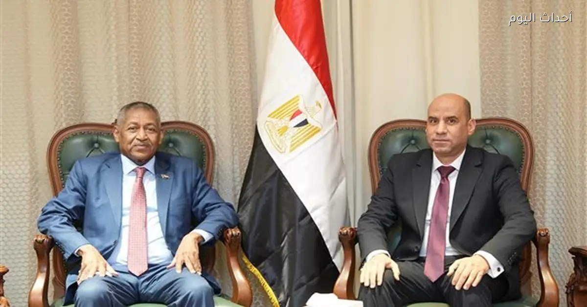 تعاون مصري سوداني لتدريب الكوادر في إعادة الإعمار