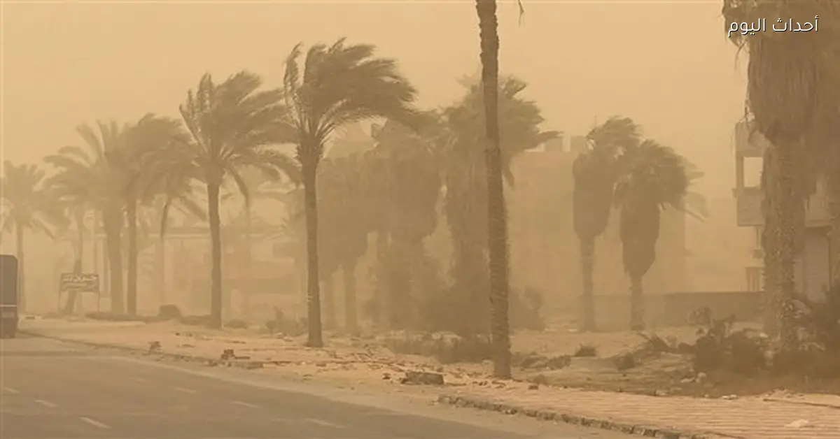 جامعات حكومية وأهلية توضح موقفها من إيقاف الدراسة بسبب تقلبات الطقس