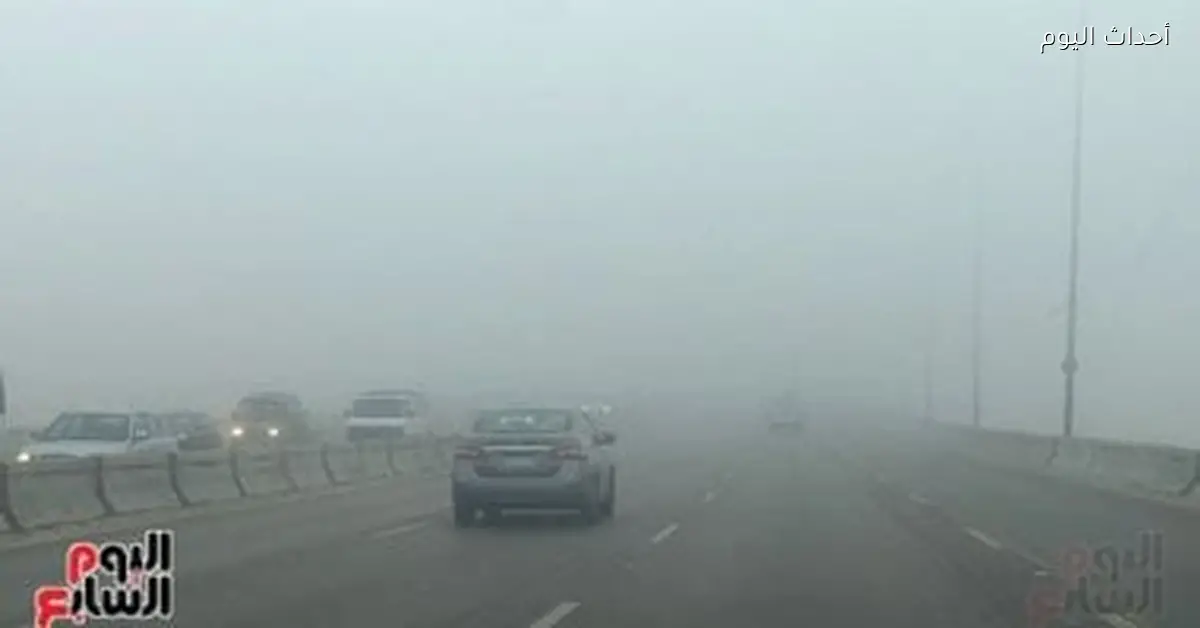 حالة الطقس اليوم الإثنين 9 مارس 2026 طقس دافئ نهارا وشبورة كثيفة صباحا