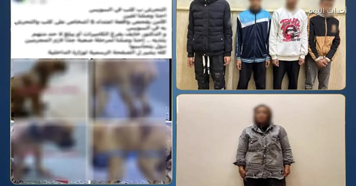 حقيقة التعدي على كلب بالسويس وضبط صاحبة الادعاء الكاذب