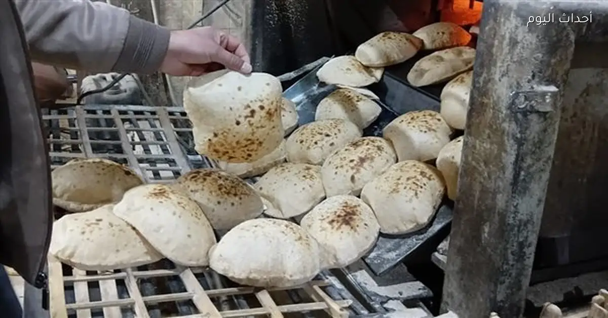 حملات تفتيش على محطات الوقود ومستودعات البوتاجاز في الشرقية