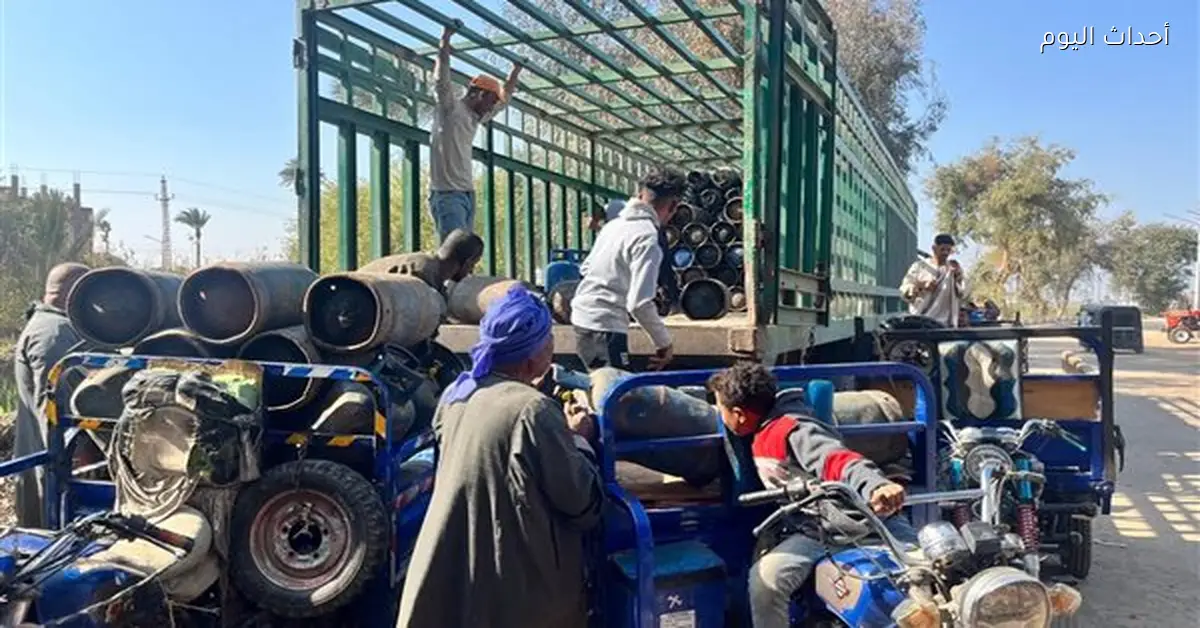 حملات تموينية تكشف 530 محضرًا وضبط سلع غير صالحة