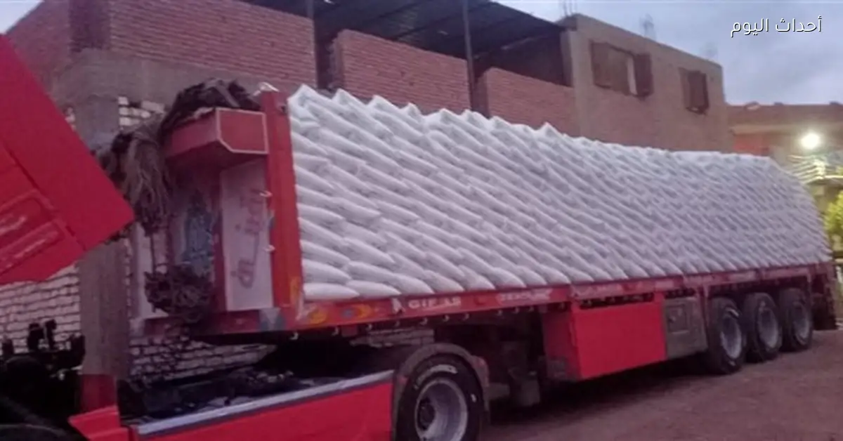 حملات نظافة ومتابعة خدمات في بني سويف