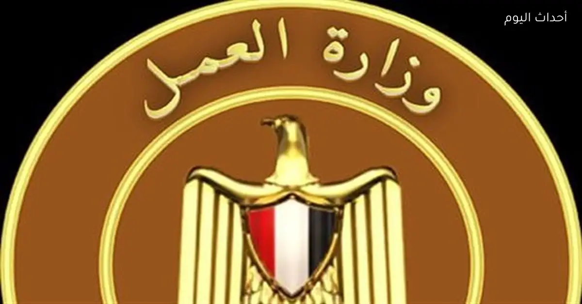 دمج ذوي الهمم في “جريت فودز” ضمن أنشطة العمل بالمحافظات