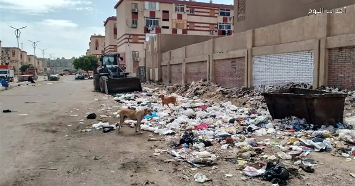 رئاسة حي الأربعين بالسويس تعزز متابعة النظافة والخدمات
