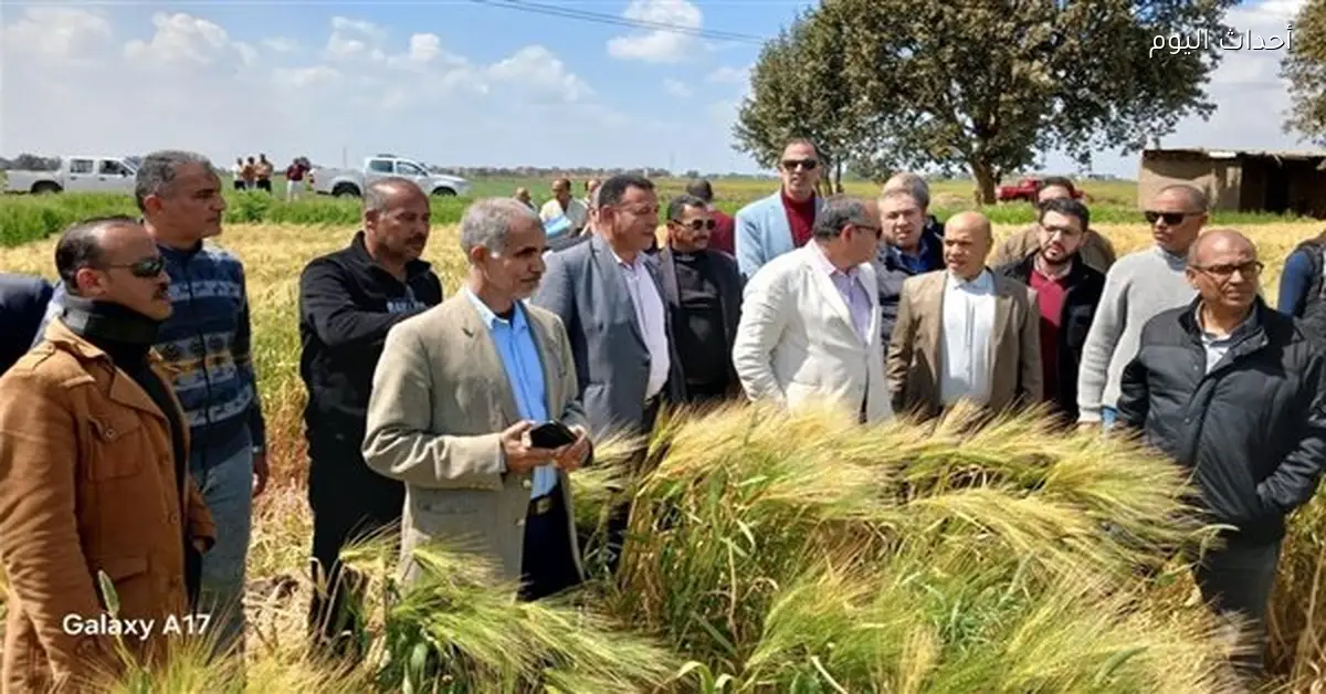 رئيس “البحوث الزراعية” يتفقد محطة سخا للأنشطة البحثية