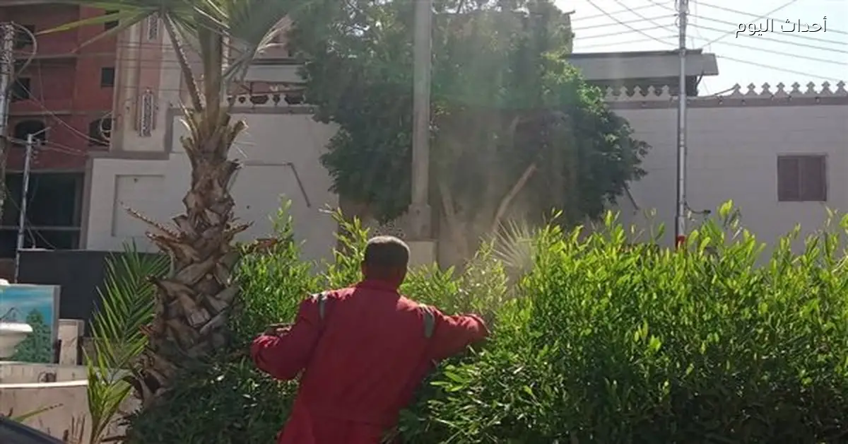 رئيس مدينة قنا يتابع تحسين كفاءة الحدائق الزراعية