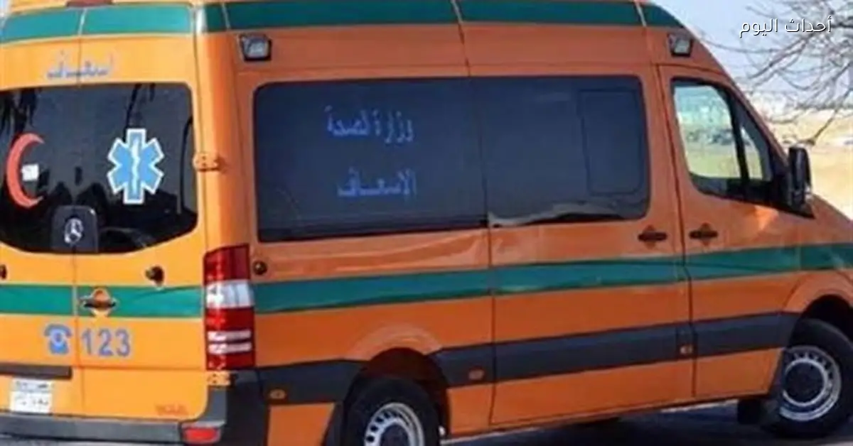 سيدة تصاب بعد صدمها بقطار في حي الجناين بالسويس