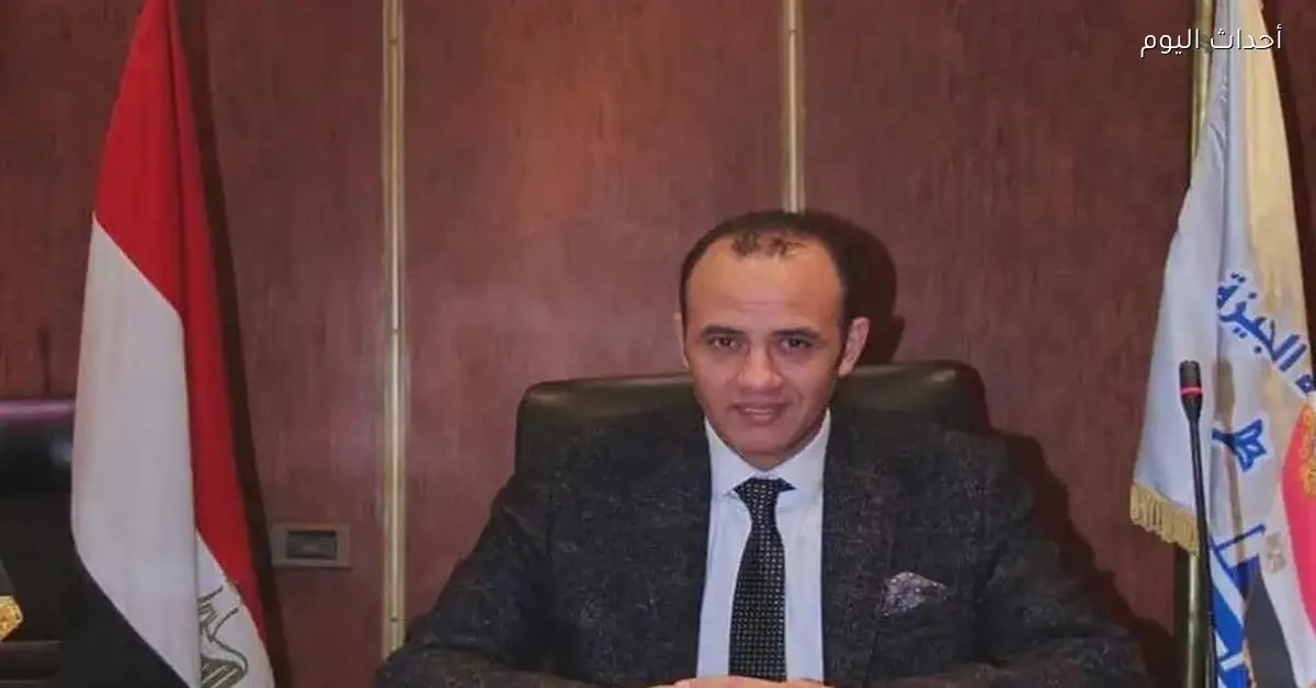 شعبة الدواجن: أسعار الفراخ ستزيد 10% قريبًا