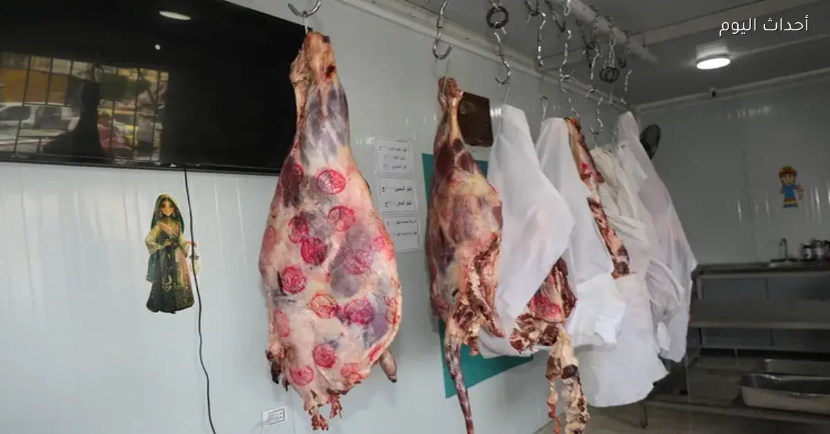 شعبة القصابين تعلن زيادة 5% في أسعار اللحوم بسبب ارتفاع أسعار الوقود