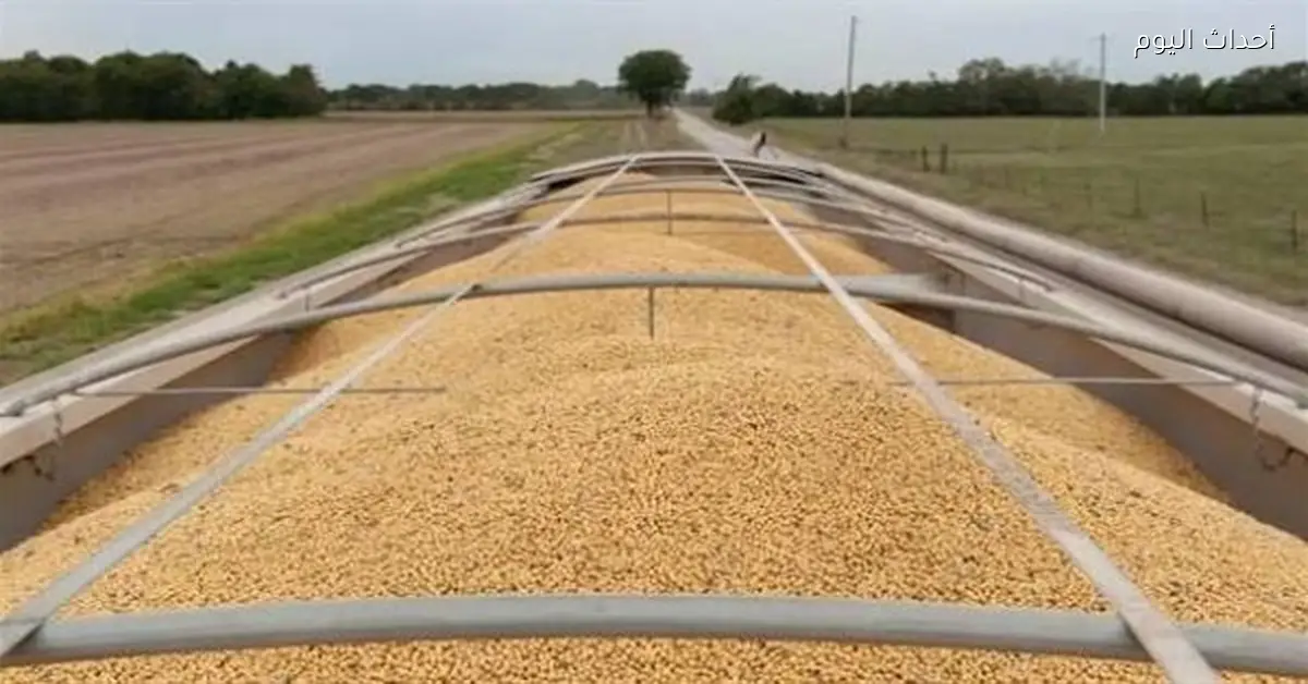 صراع عالمي على الأسمدة يهدد بارتفاع أسعار الغذاء والمخاطر المناخية