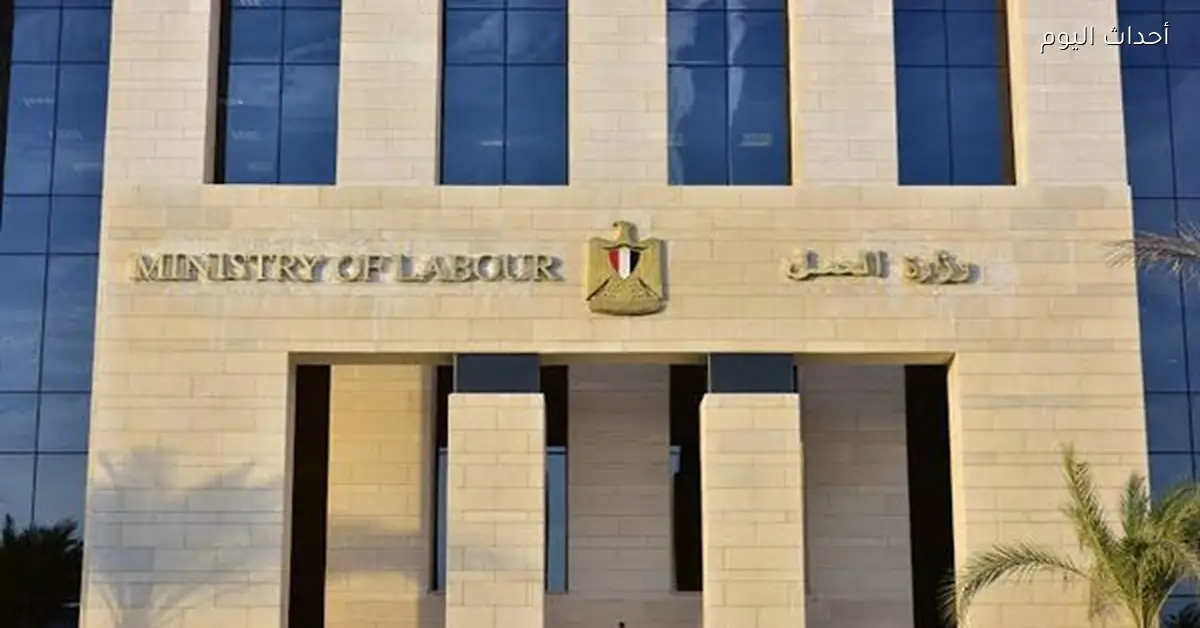 صرف 2 مليون جنيه لرعاية 270 عاملاً صحياً في مصر