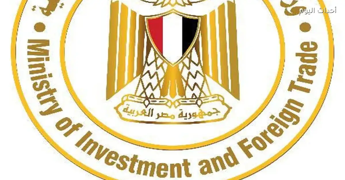 صندوق مصر السيادي يطرح 20% من أسهم “مصر لتأمينات الحياة” عبر بنوك الاستثمار