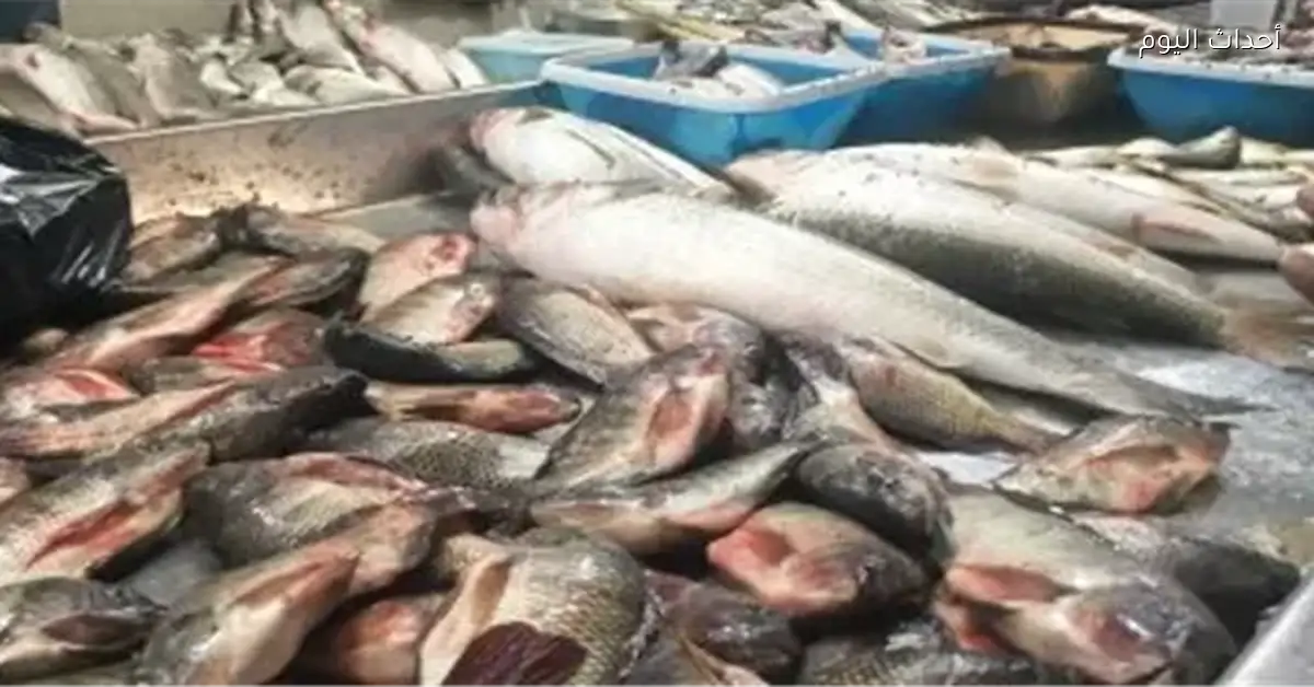 ضبط 1.5 طن من الأسماك الفاسدة في الفيوم