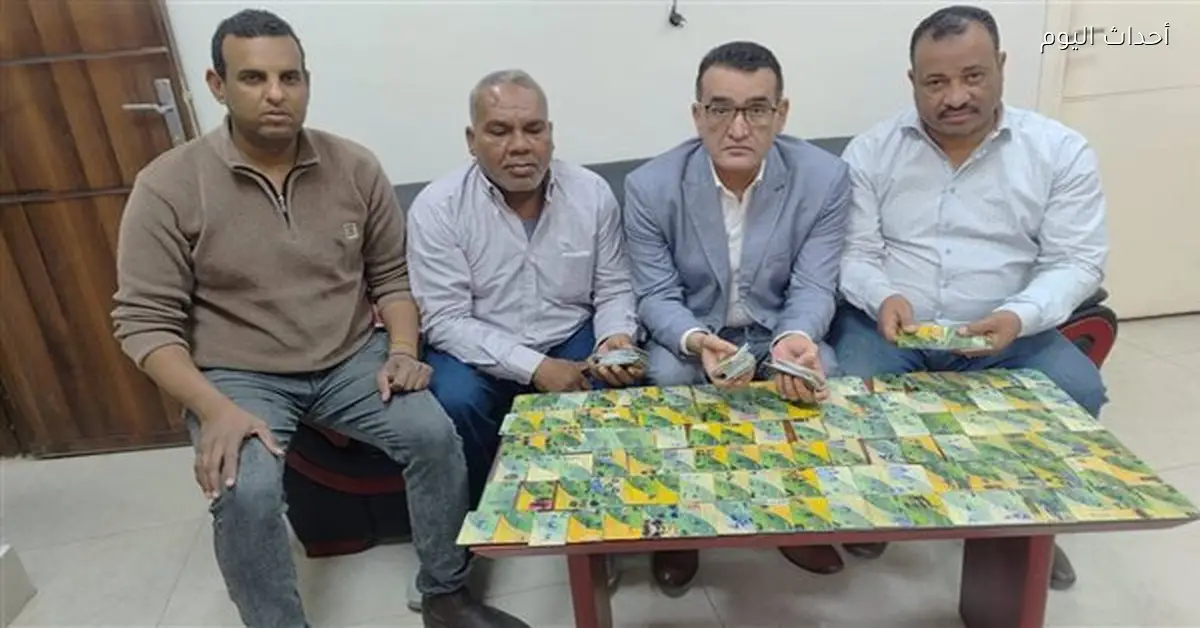 ضبط 300 بطاقة تموينية ومخالفات دقيق في الأقصر