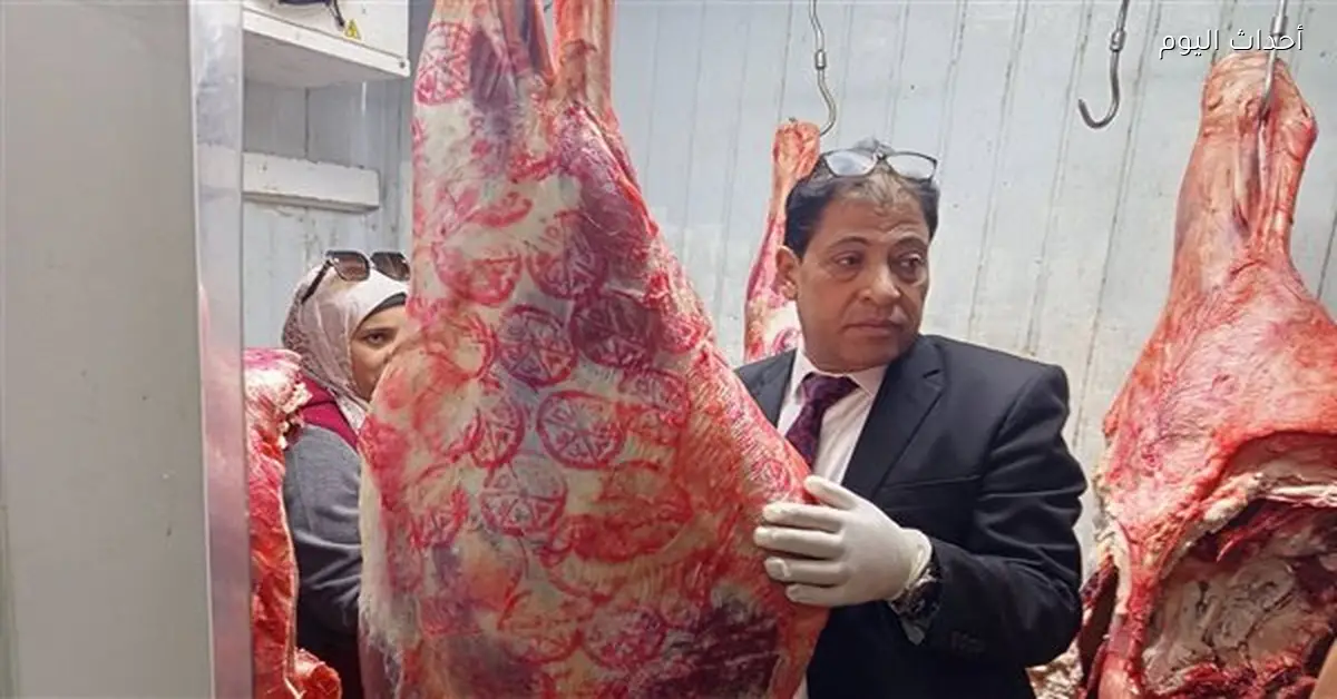 ضبط 50 كيلو لحوم فاسدة وجبن متعفن في هايبر بالأقصر