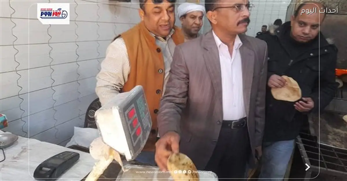 ضبط سلع غذائية ولحوم فاسدة في نجع حمادي