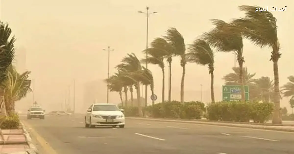 طقس بارد صباحًا ودافئ نهارًا في السويس اليوم