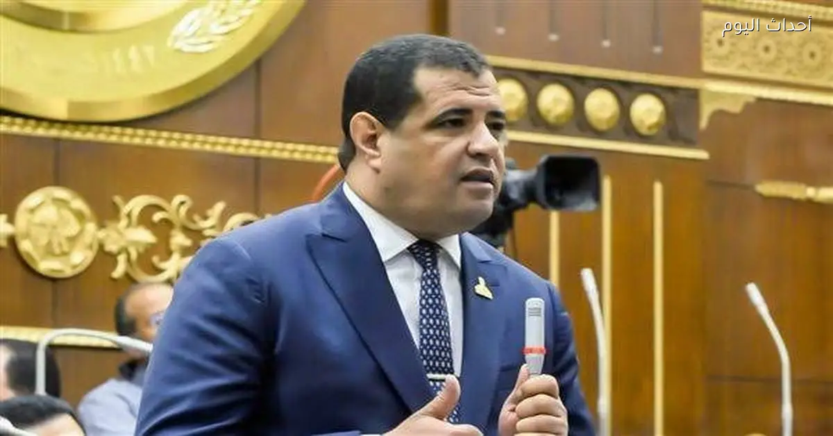 عضو بالشيوخ يدعو لتشديد الرقابة على الأسواق وزيادة المنافذ السلعية