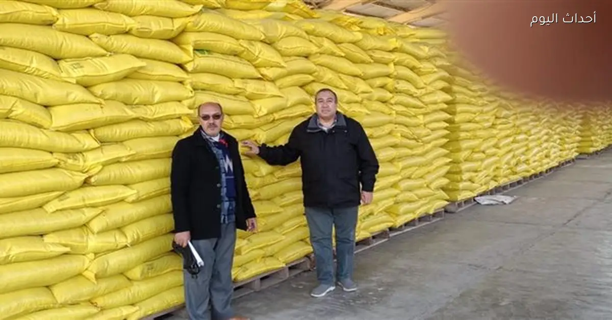 علاء فاروق يعلن خطة لاستعادة مكانة القطن المصري عالميًا