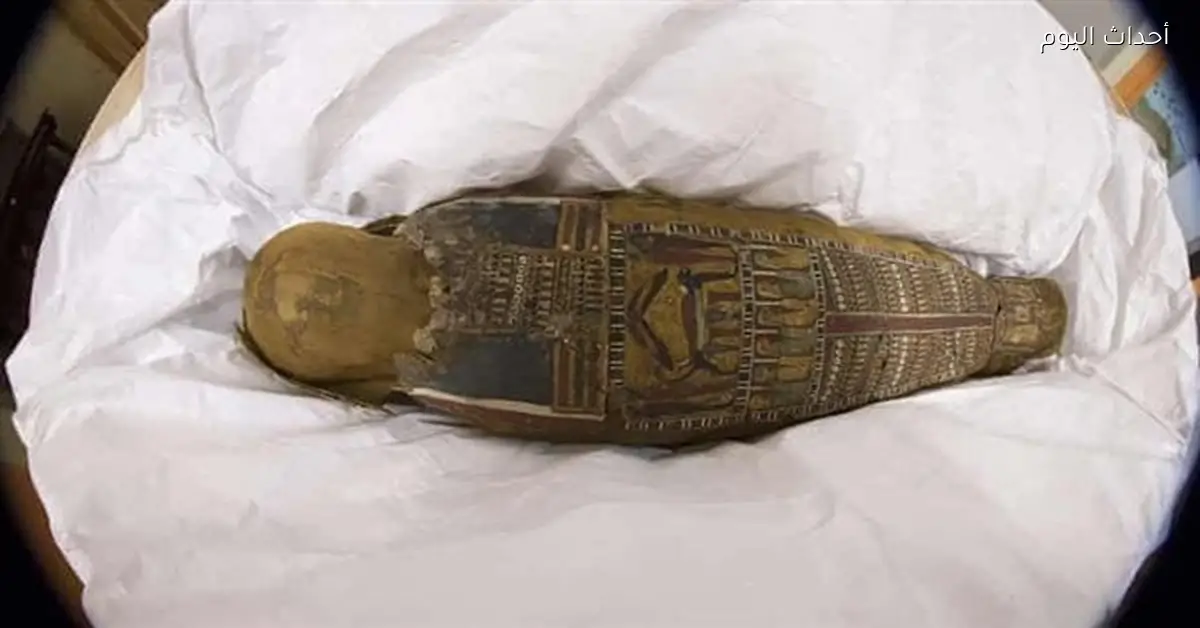 عودة مومياء “تا-إيست” إلى الوطن بعد إلقائها بالقمامة