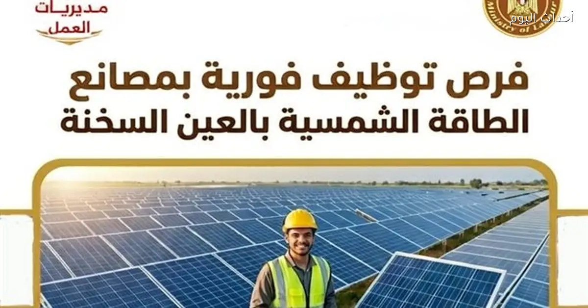 فرص توظيف فورية لأبناء الأقصر في مصانع الطاقة الشمسية