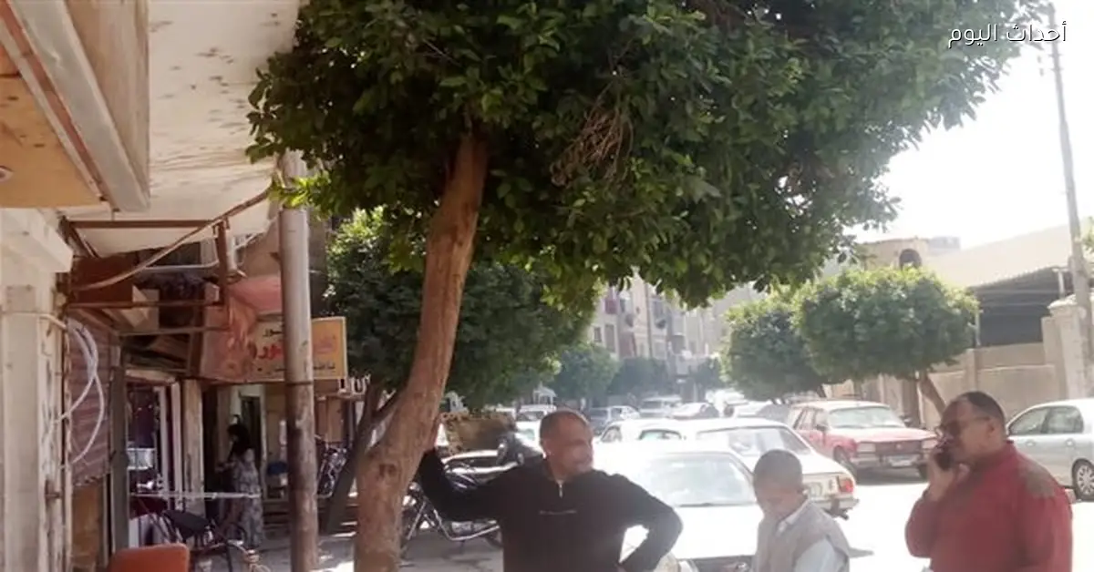 قنا تبدأ مشروع تكويد الأشجار وتكثف حملات التوعية