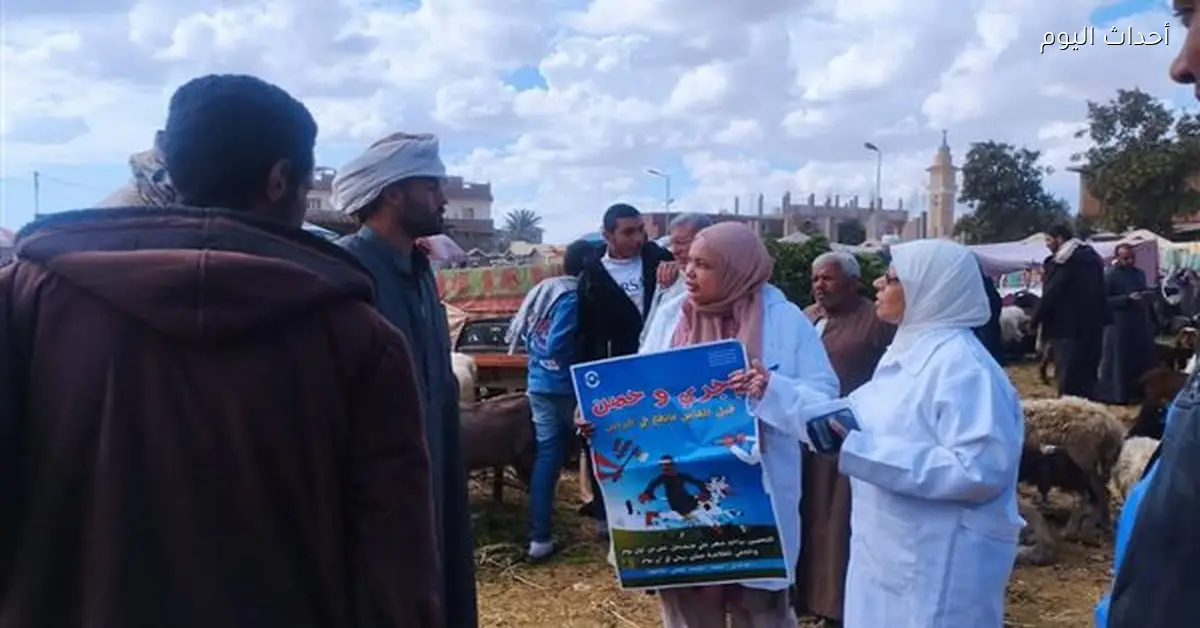 متابعة سوق الأغنام وتحصين الحيوانات في السويس